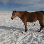 IMG_20160110_135428877